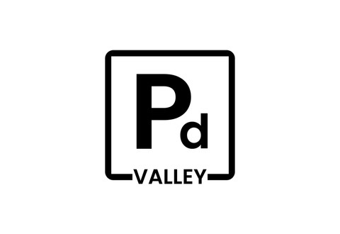 Palladium Valley Global